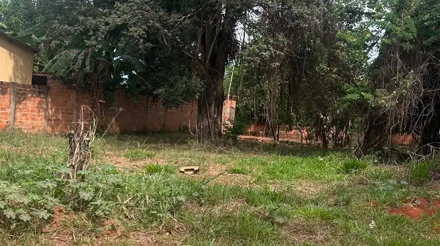 Imagem do imóvel 1 de 2 (+1 ocultas)