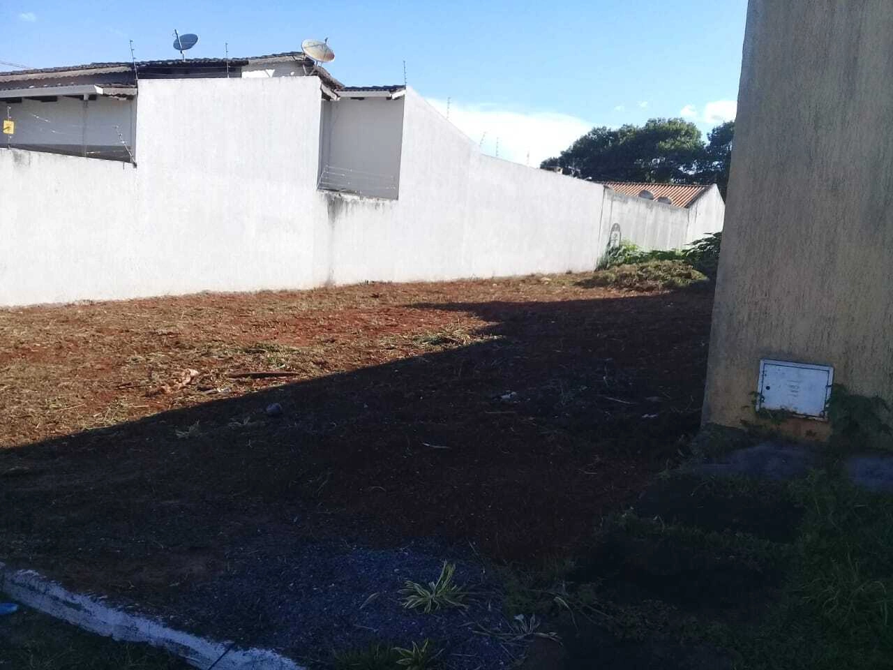 Mídia 4