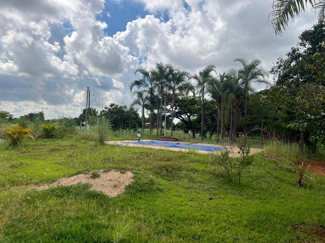 Mídia principal