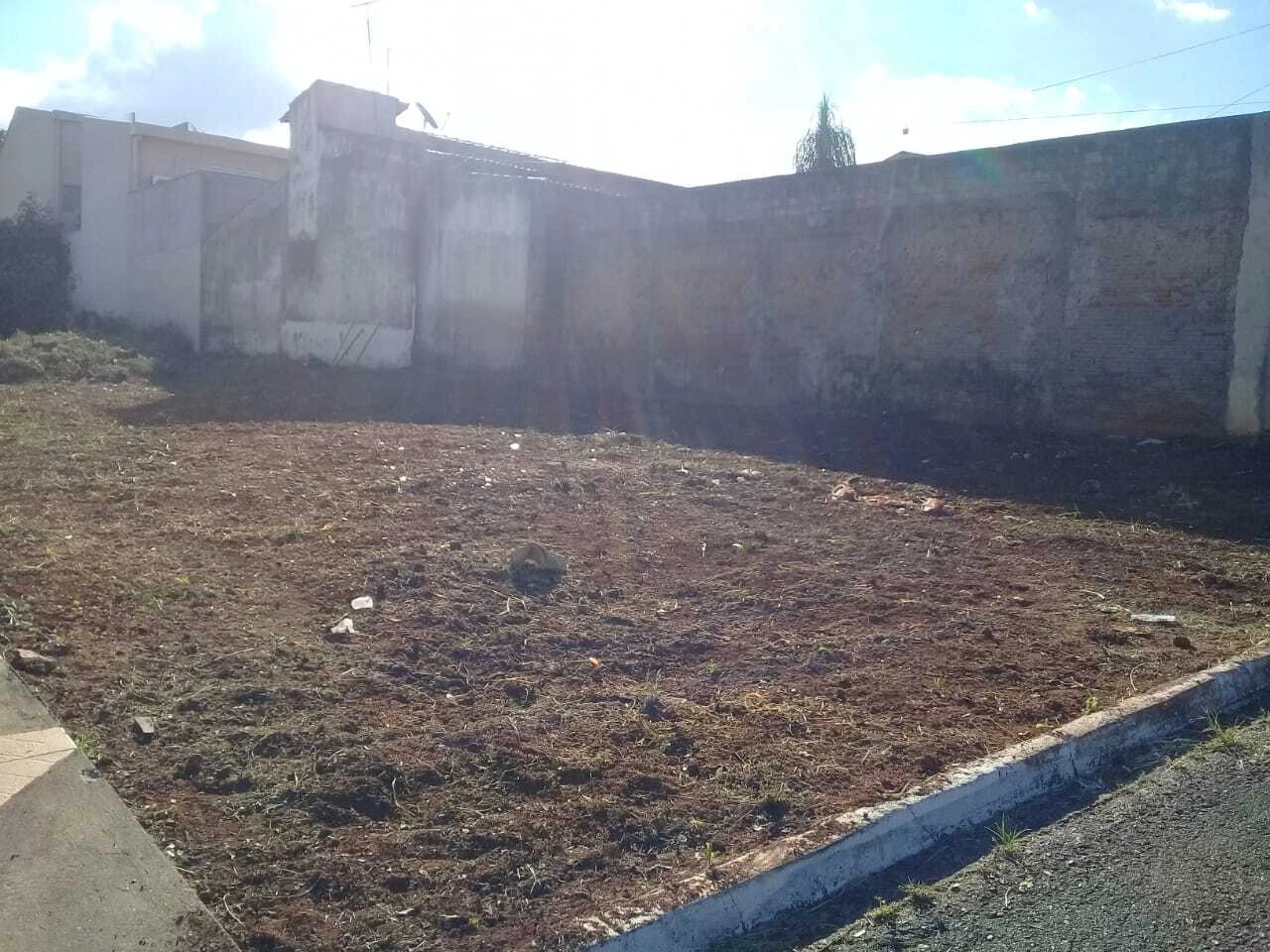 Mídia 2