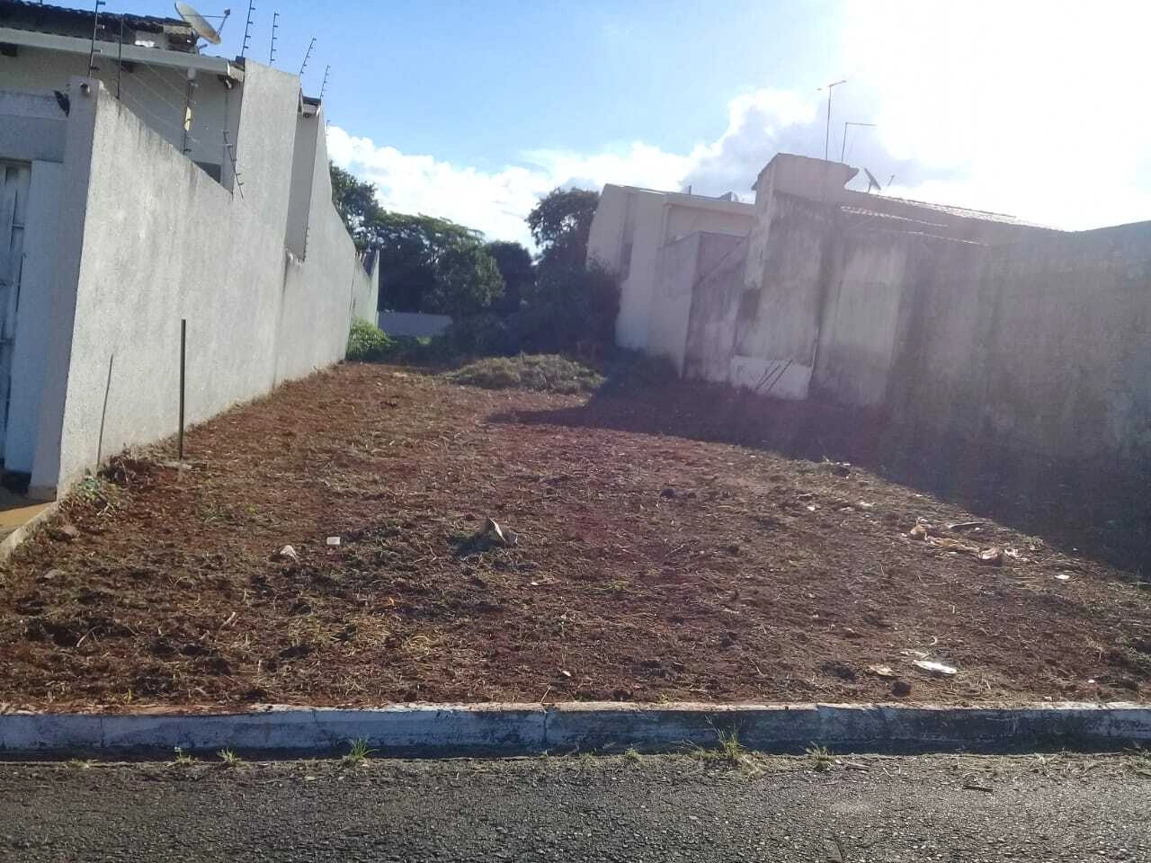 Mídia 3
