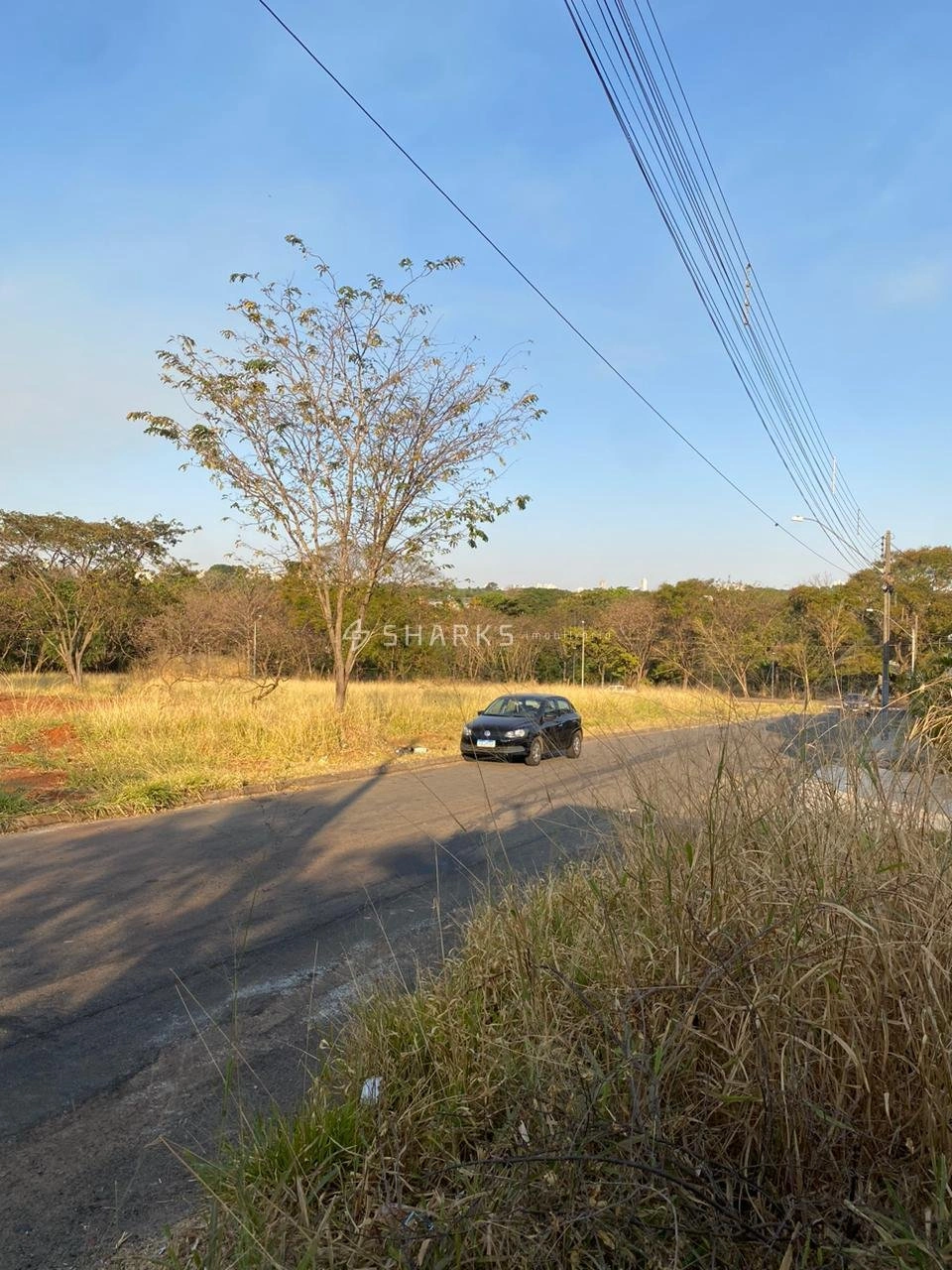 Mídia principal