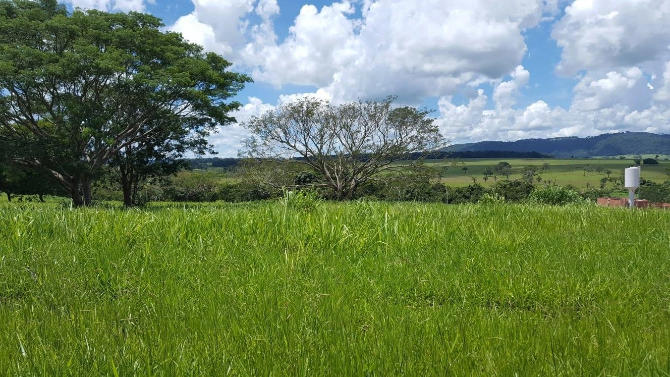 Mídia 5