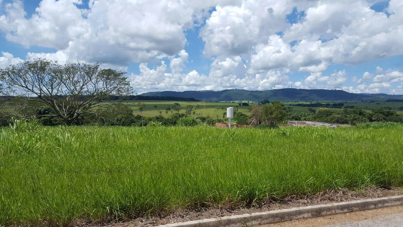 Mídia 4