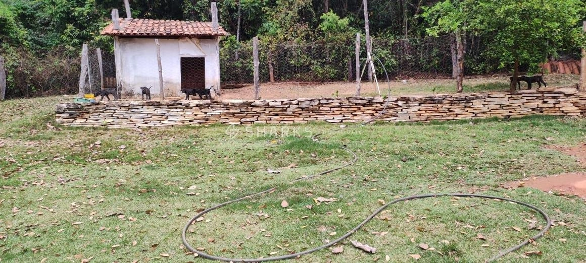 Mídia 3