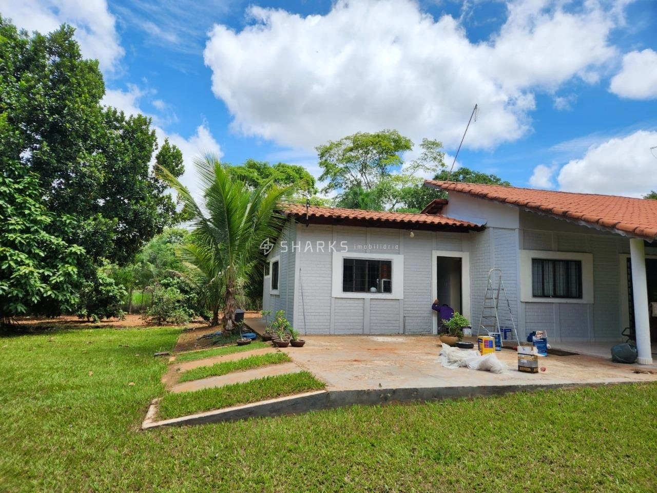 Mídia 3