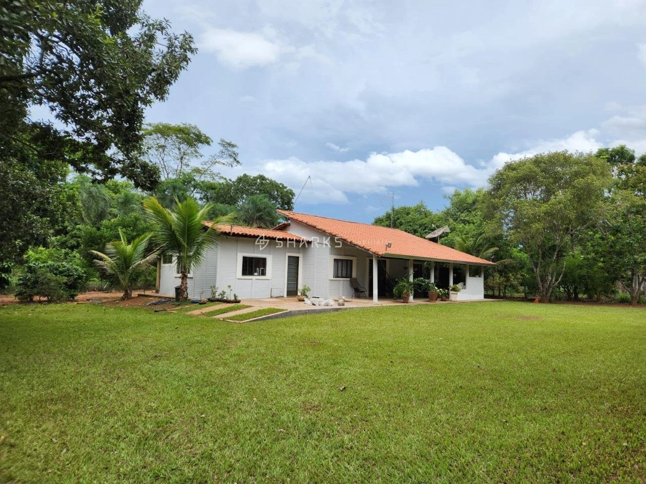 Mídia 2