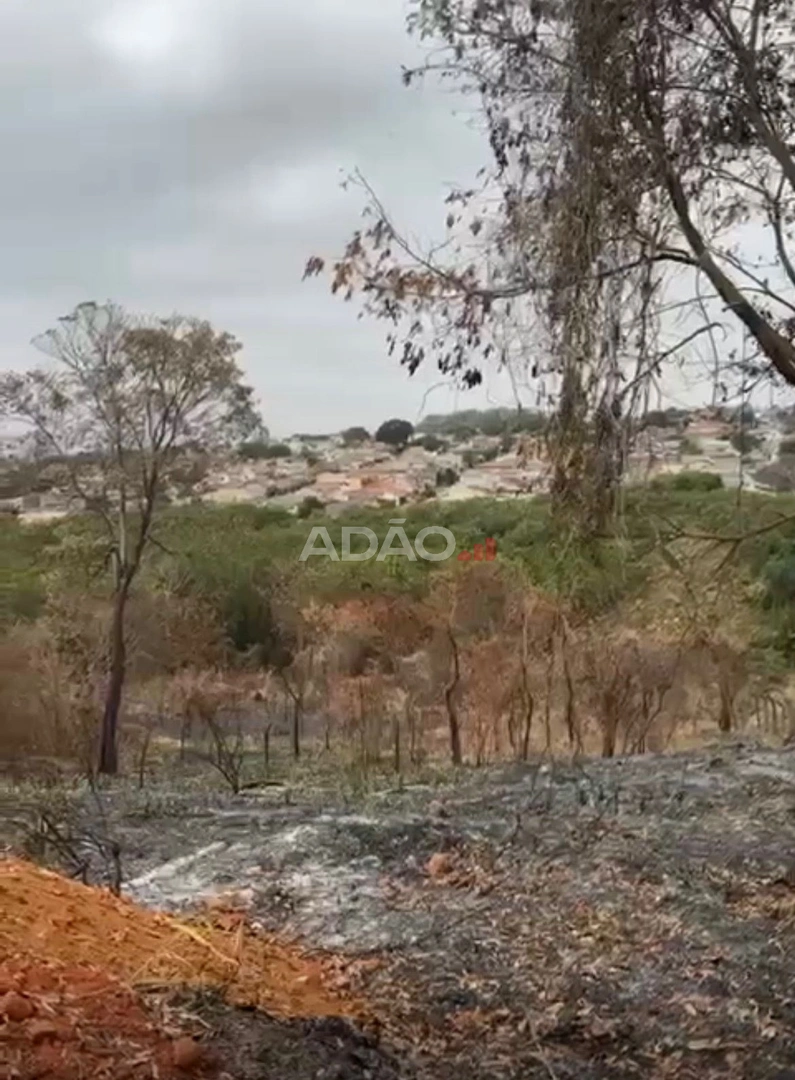 Área Vila Maria Luiza Área / Terreno à Venda, 9154.00 por R$ 2600000.00 no setor Vila Maria Luiza AD35676