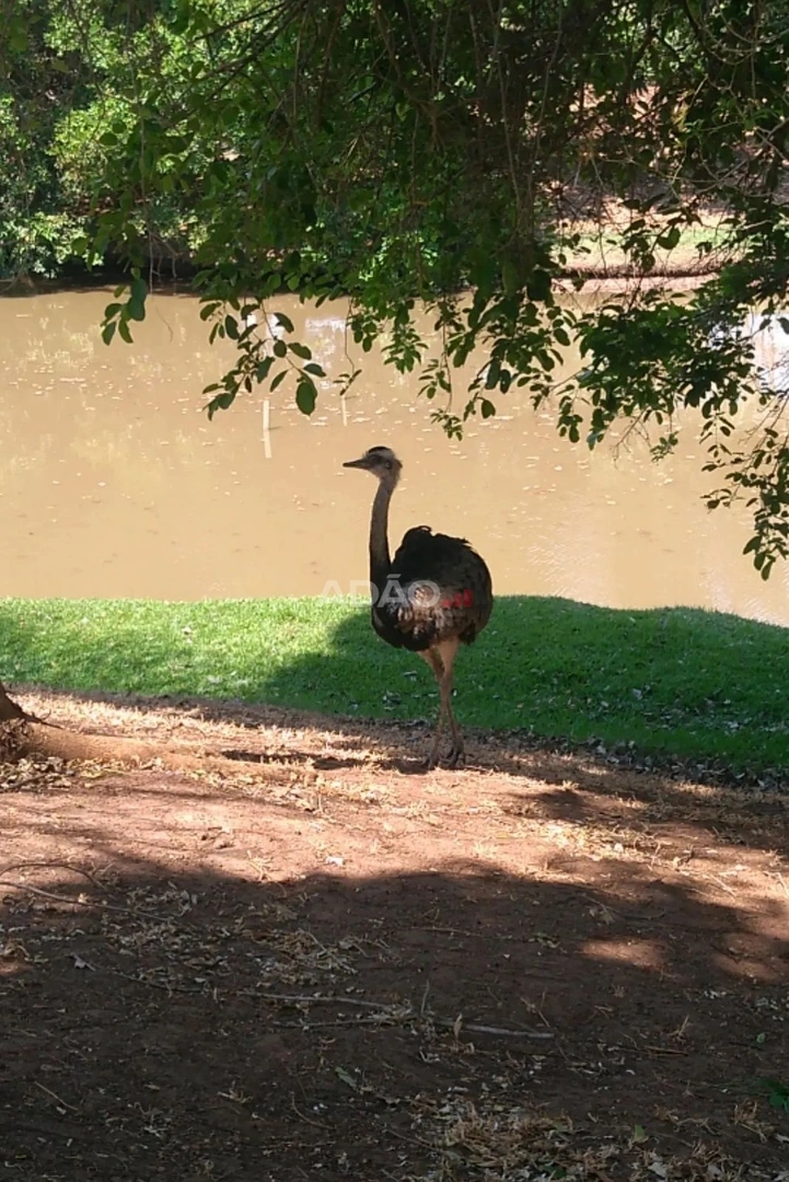 Mídia 2