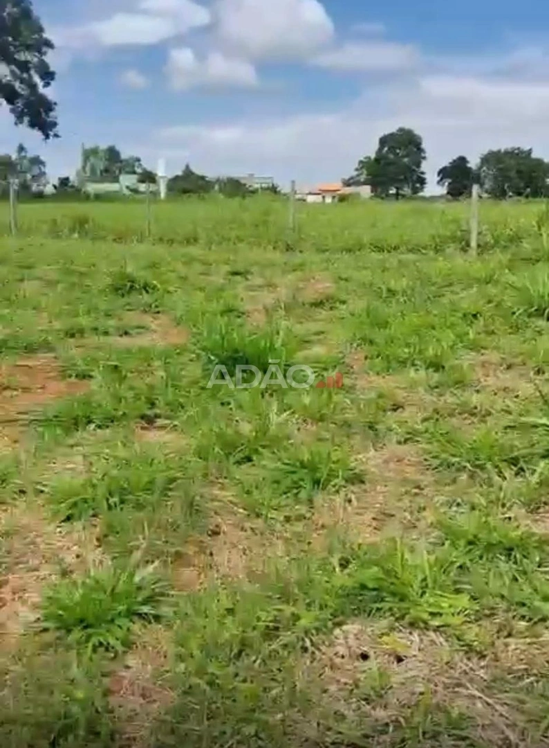 Mídia 5