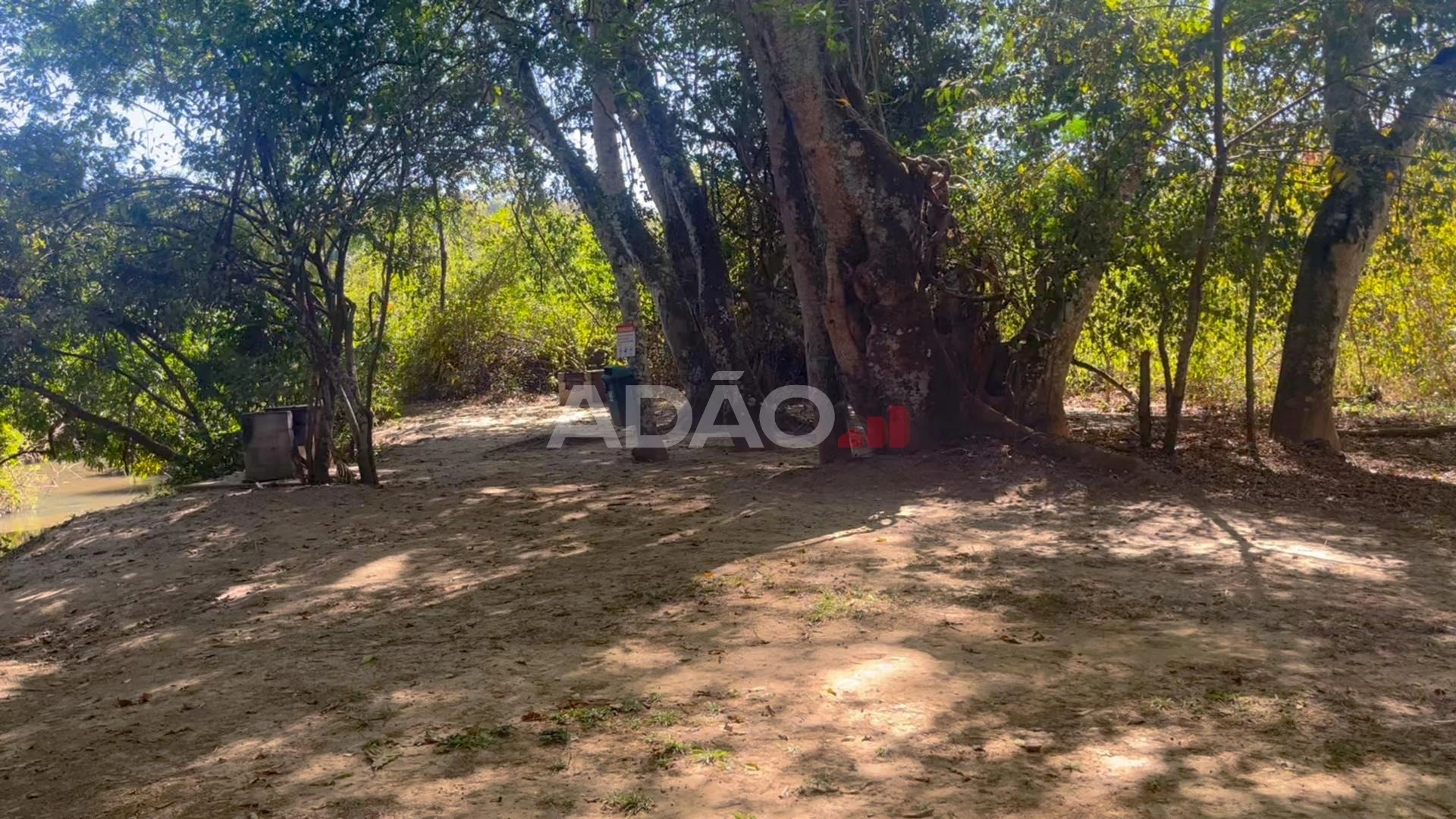 Mídia 4