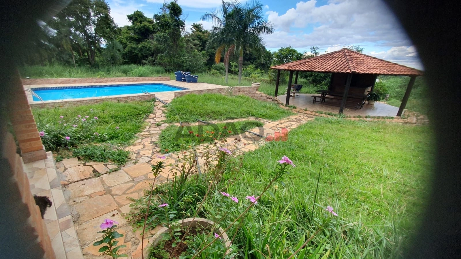 Mídia 2