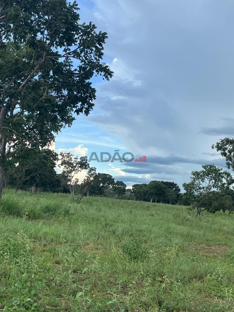 Mídia principal