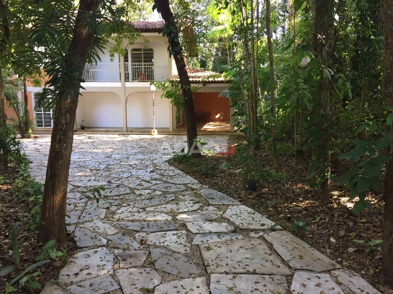 Mídia 5