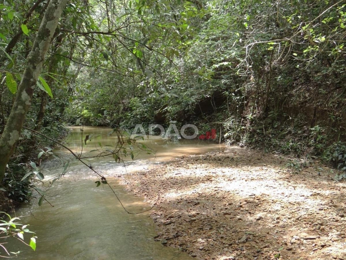 Mídia principal