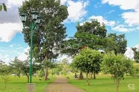 Mídia 3