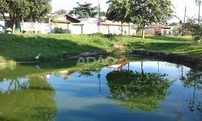 Mídia principal