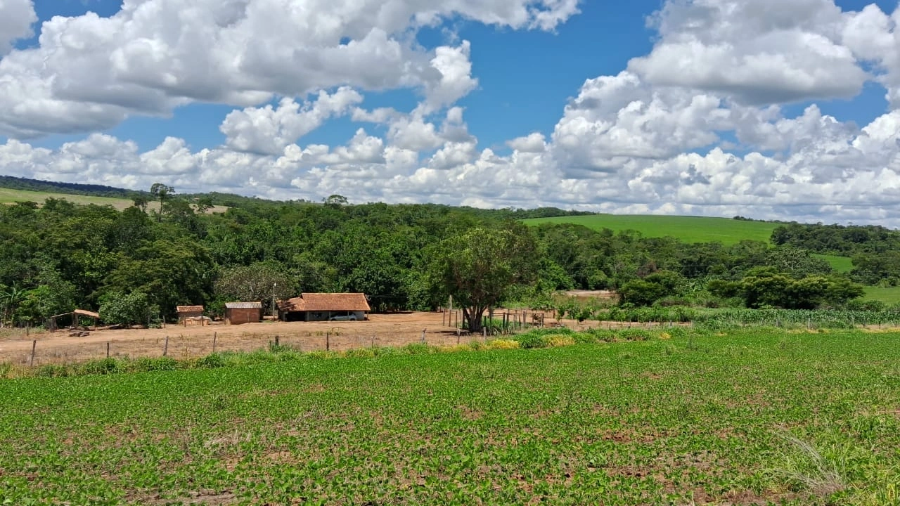 Mídia 2