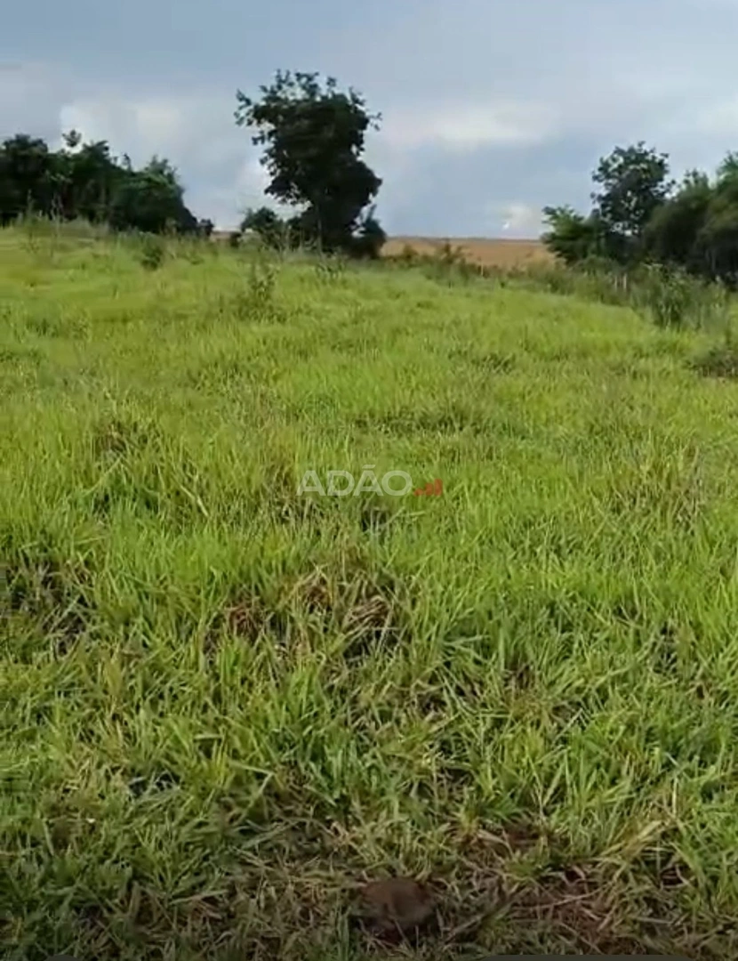 Mídia 5