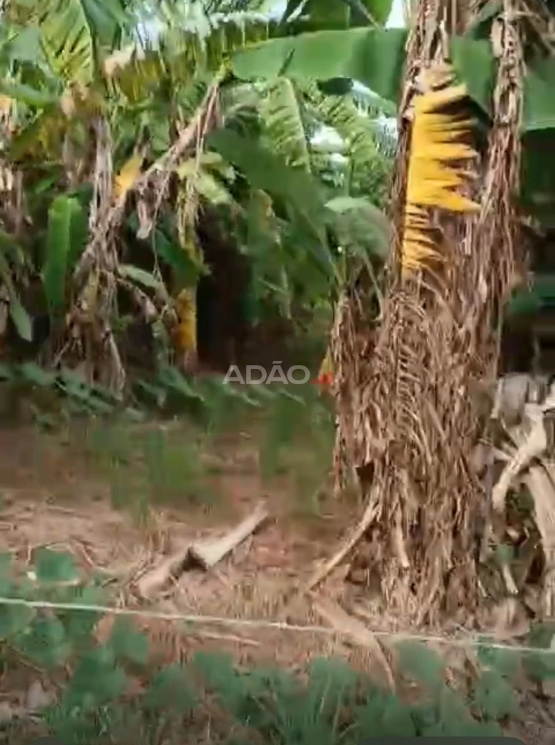 Mídia 2