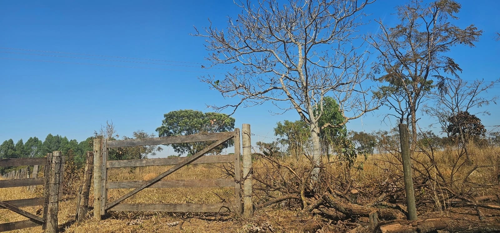 Mídia principal