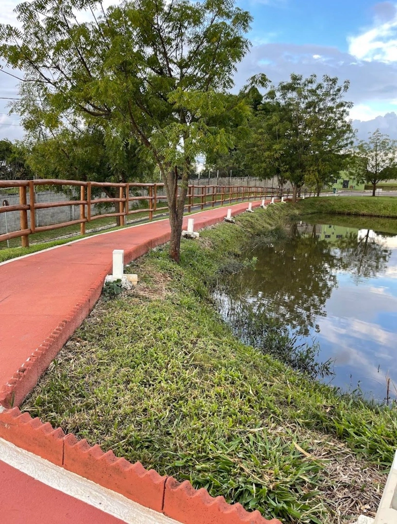 Mídia 5