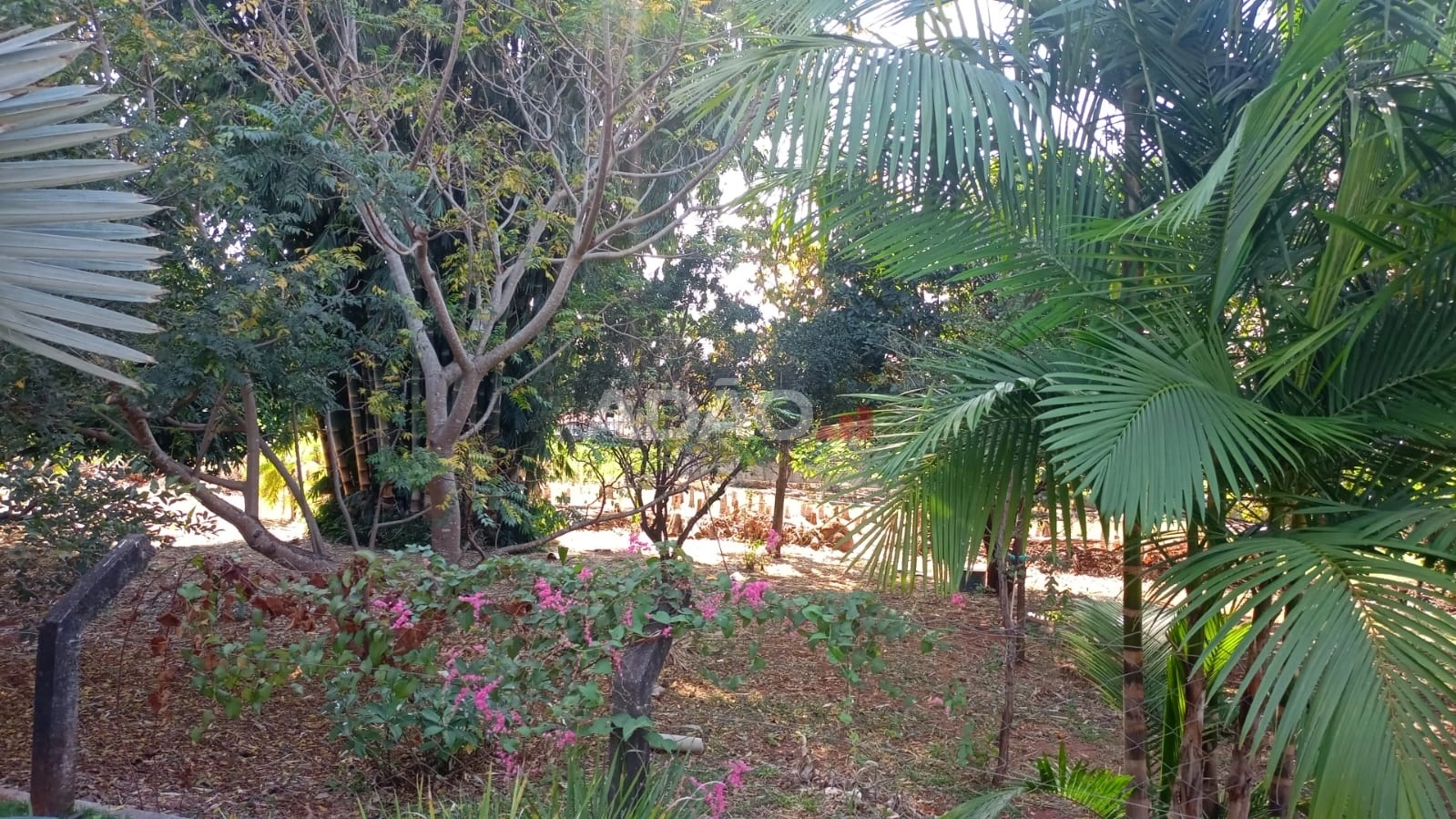 Mídia 4