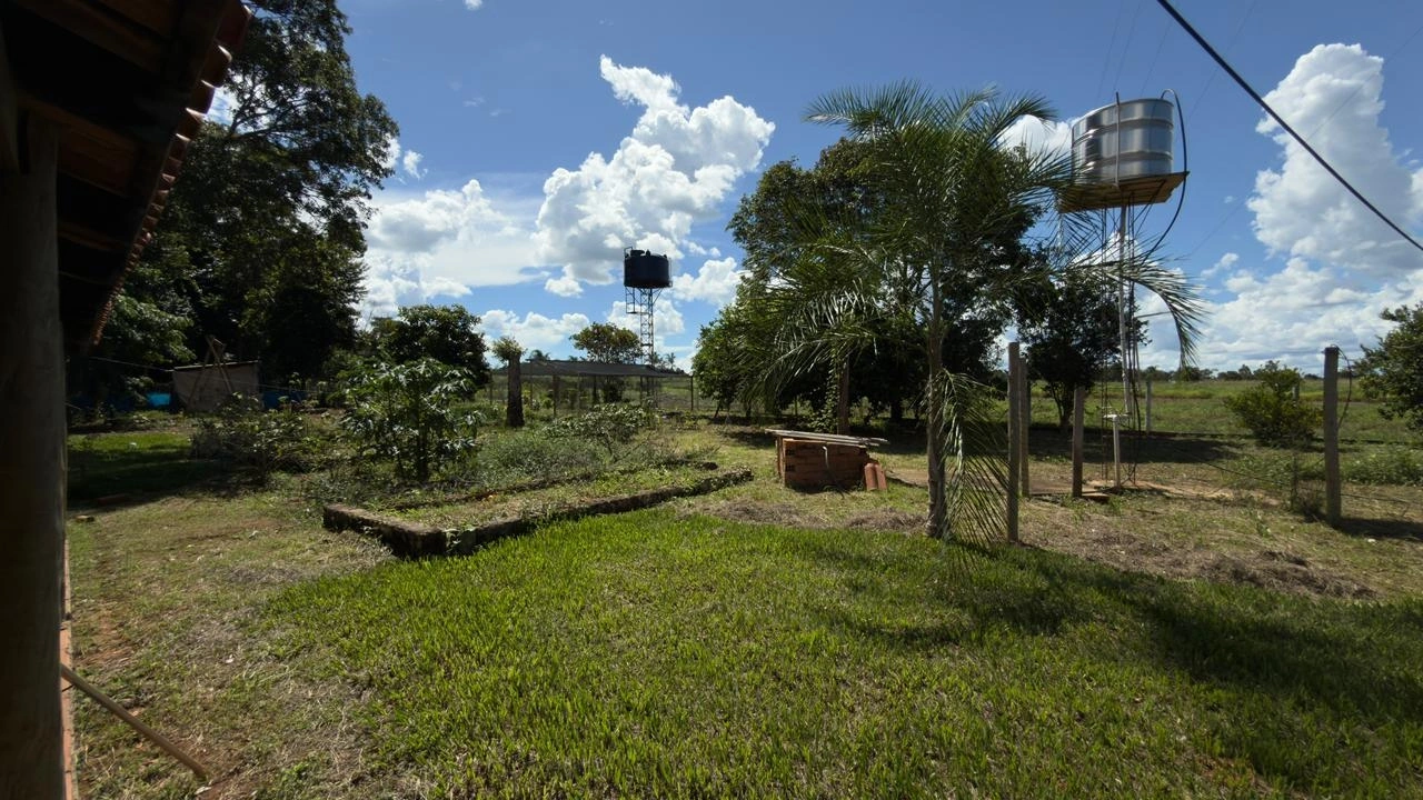 Mídia 5