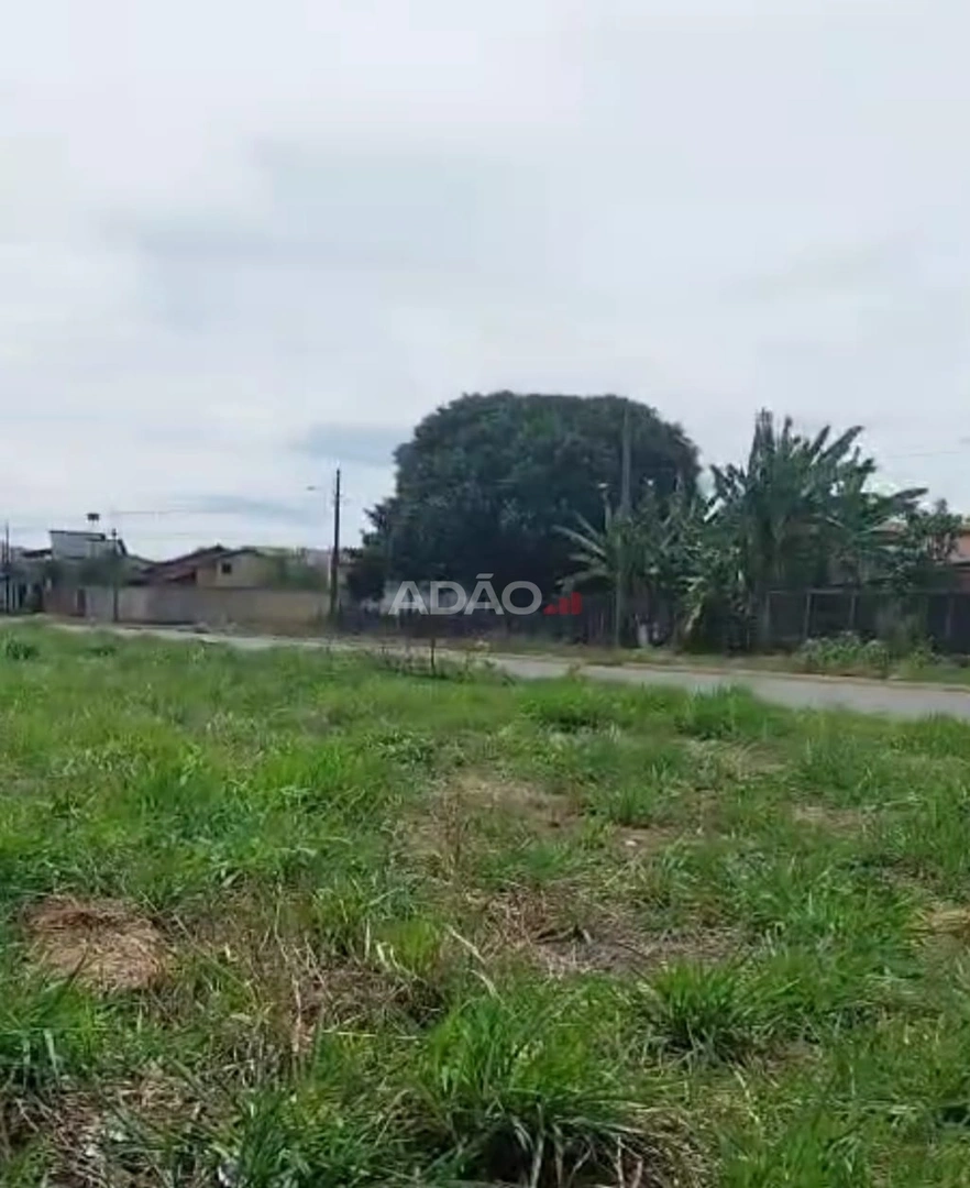 Mídia 4