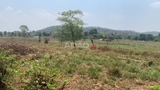 Mídia 5