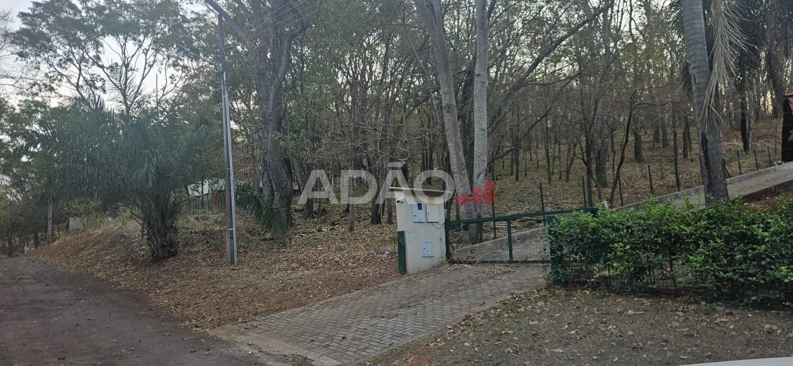 Mídia 2