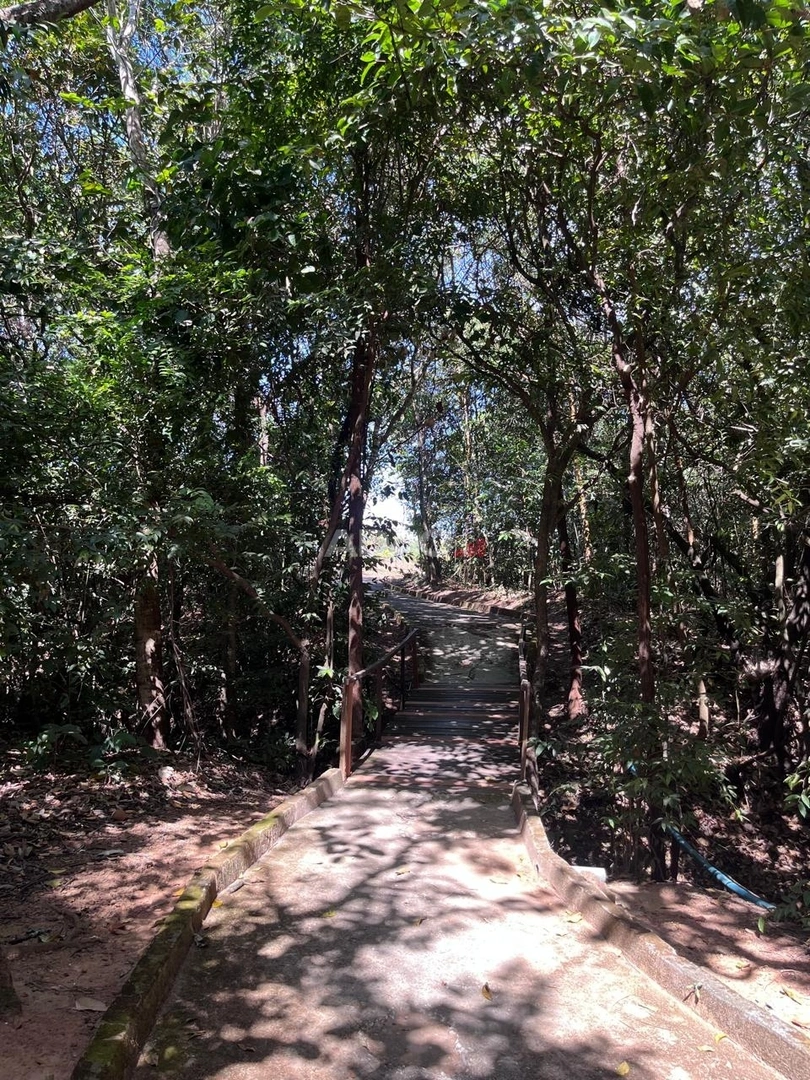 Mídia principal