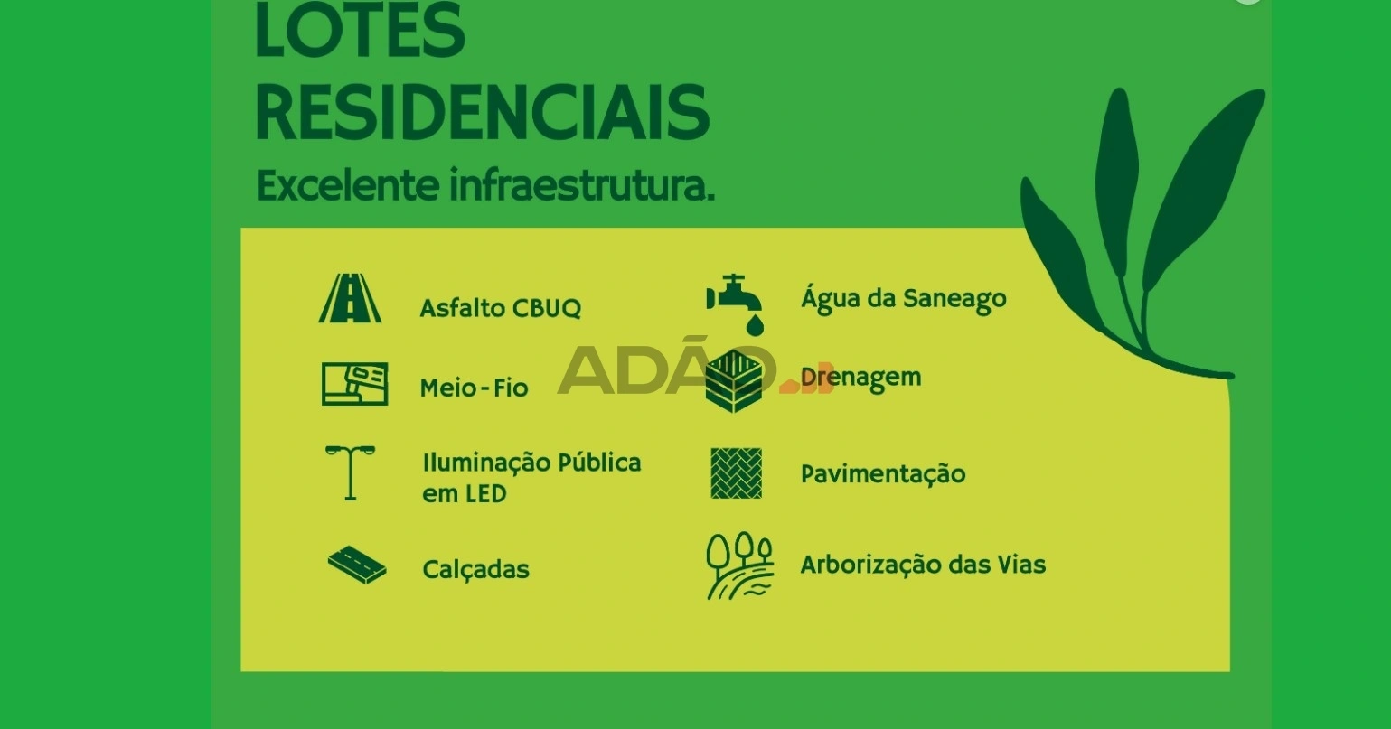 Mídia 5