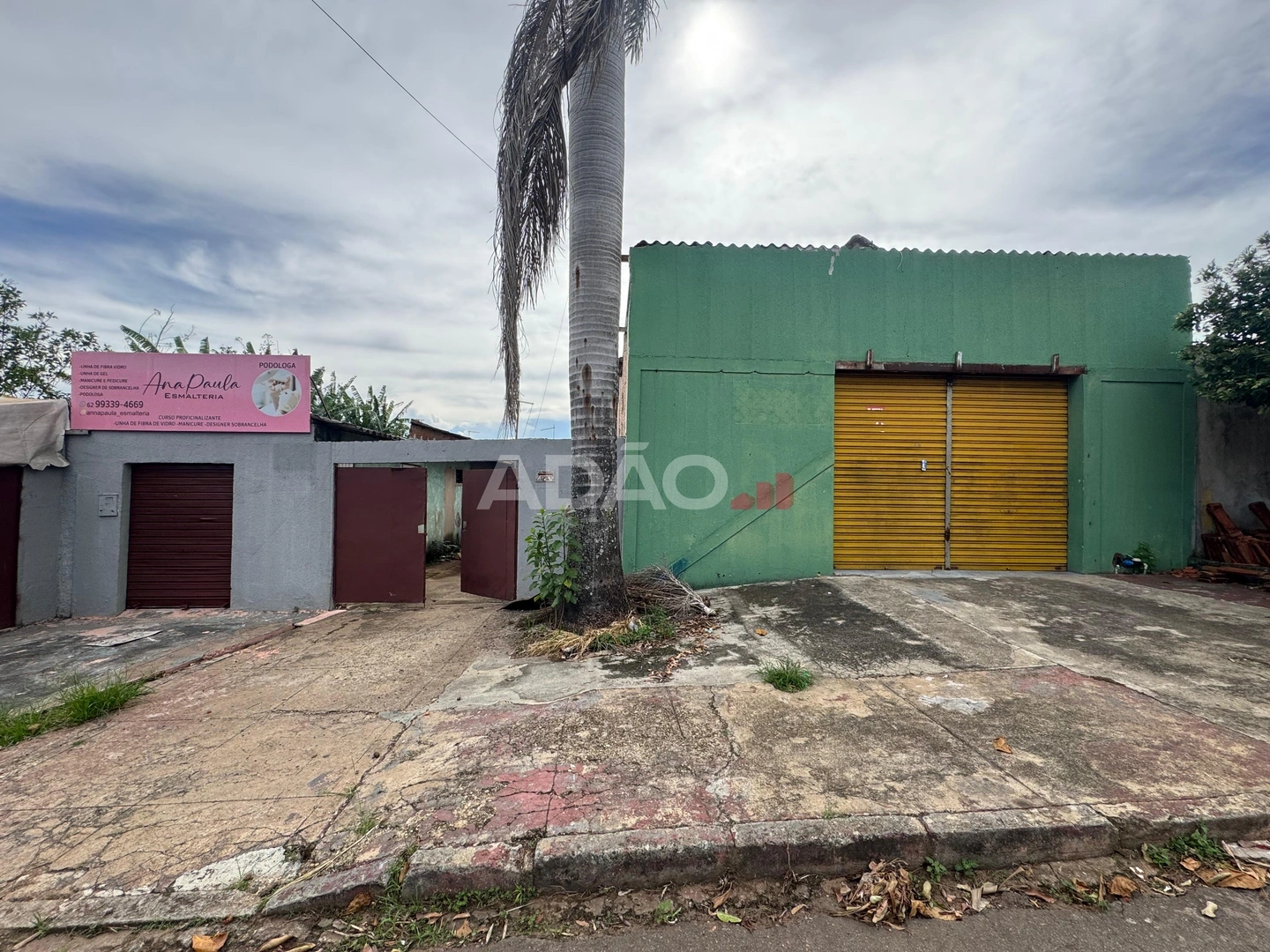 Mídia principal