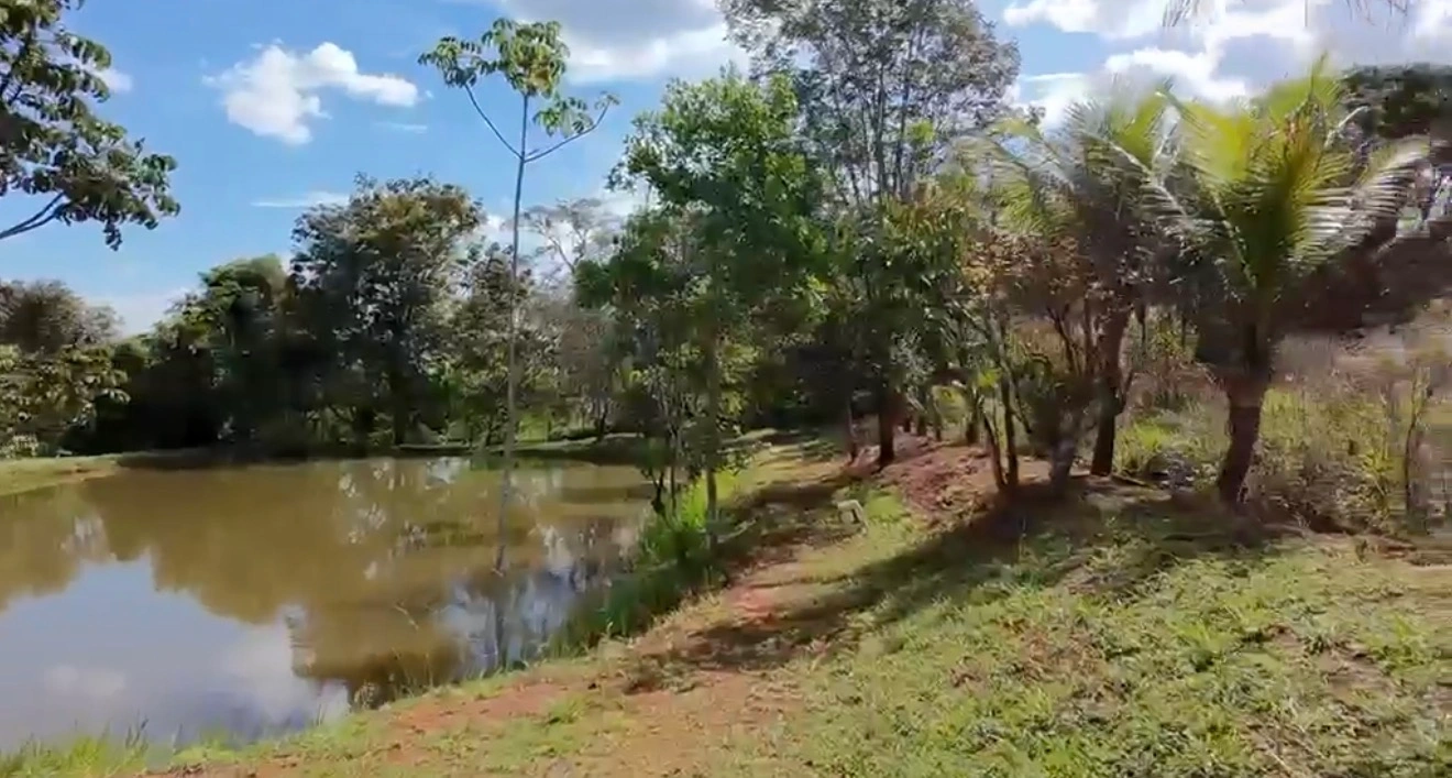 Mídia 4