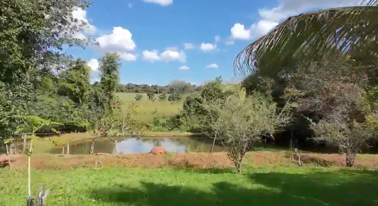 Mídia 5