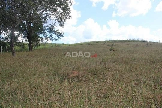 Mídia 4