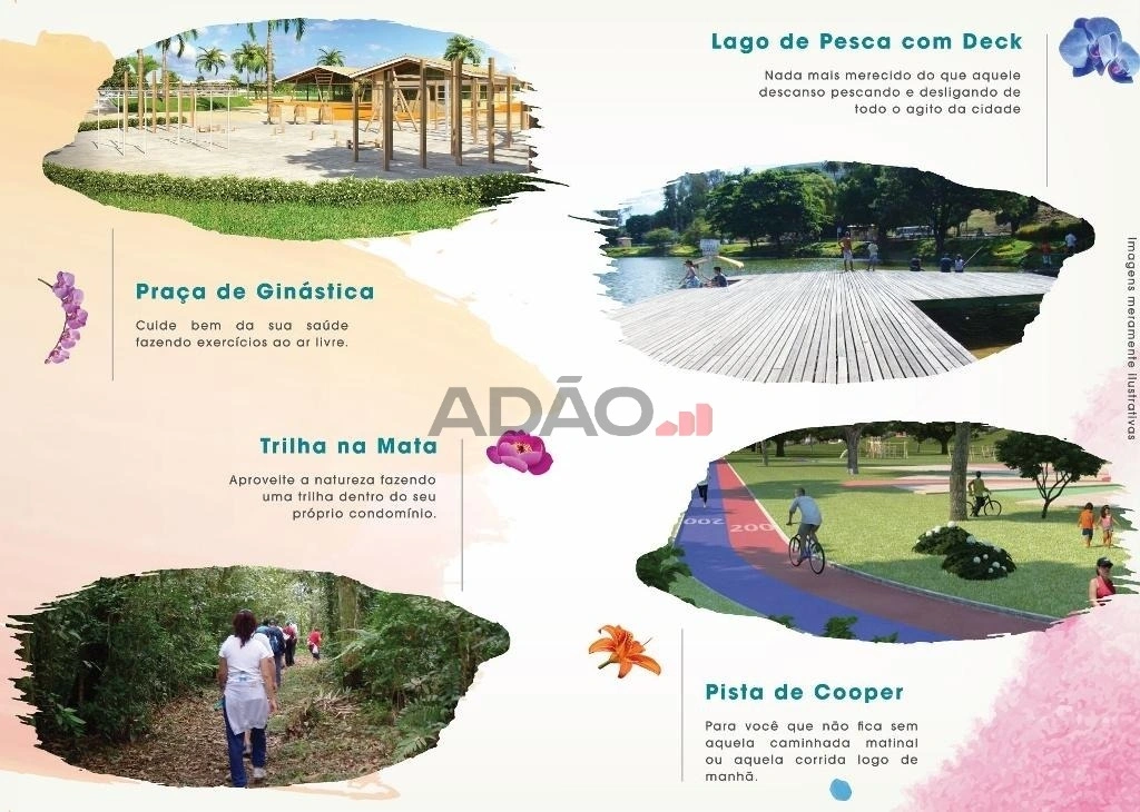 Mídia 5