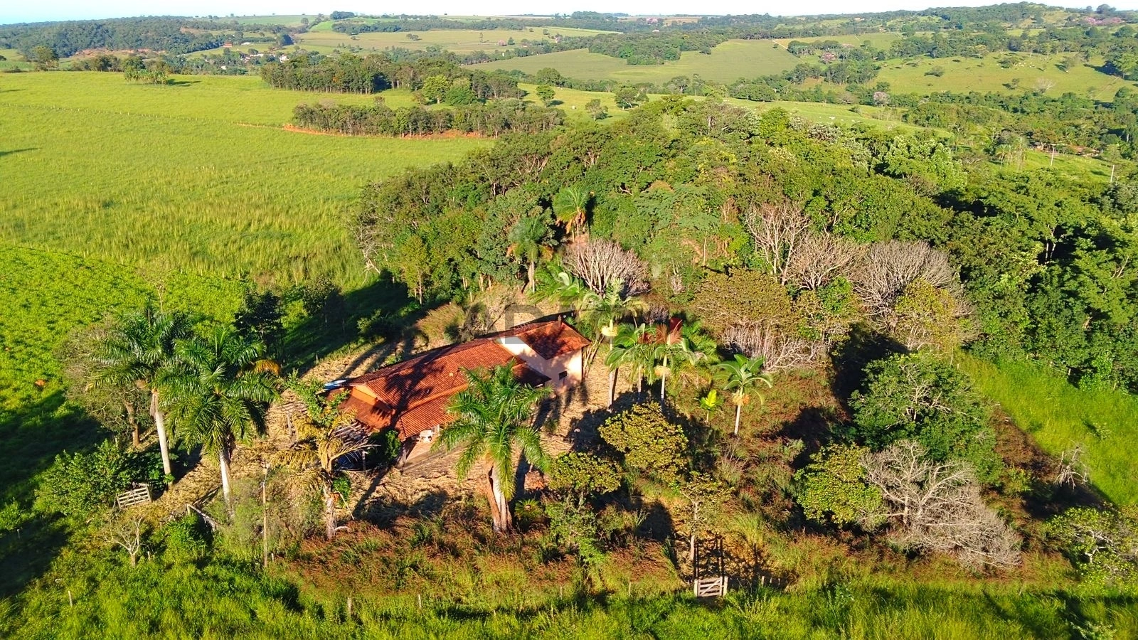 Mídia principal