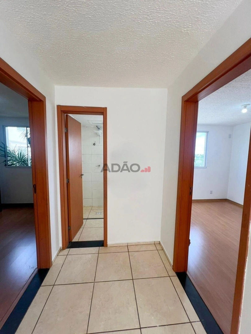 Mídia 5