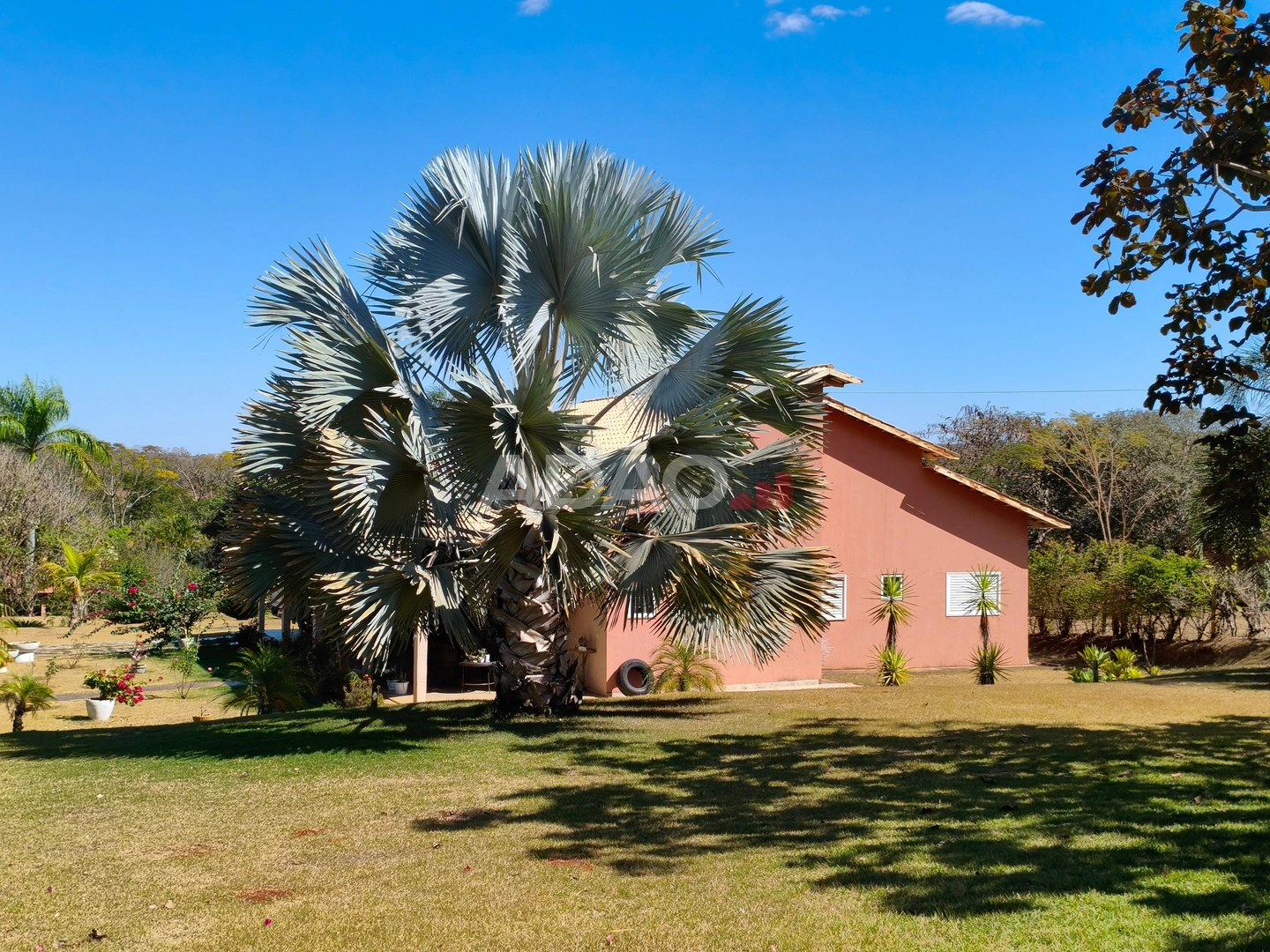 Mídia principal