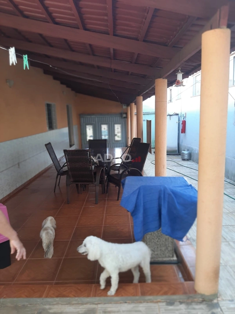 Mídia 4