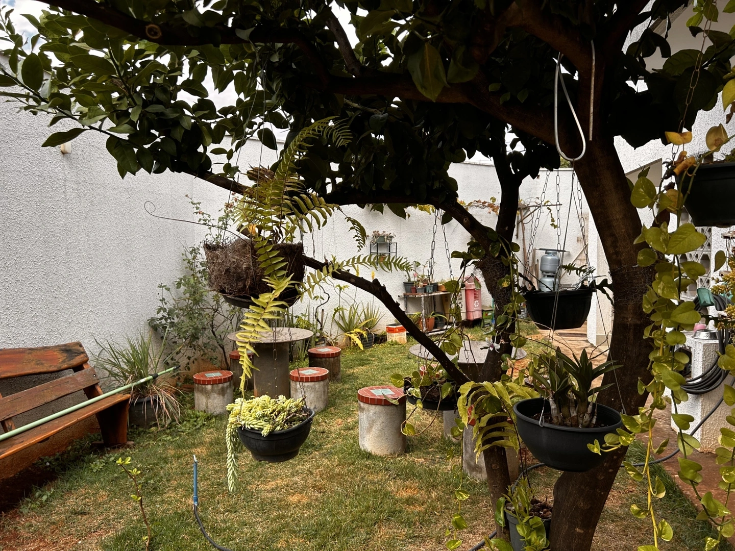 Mídia 2