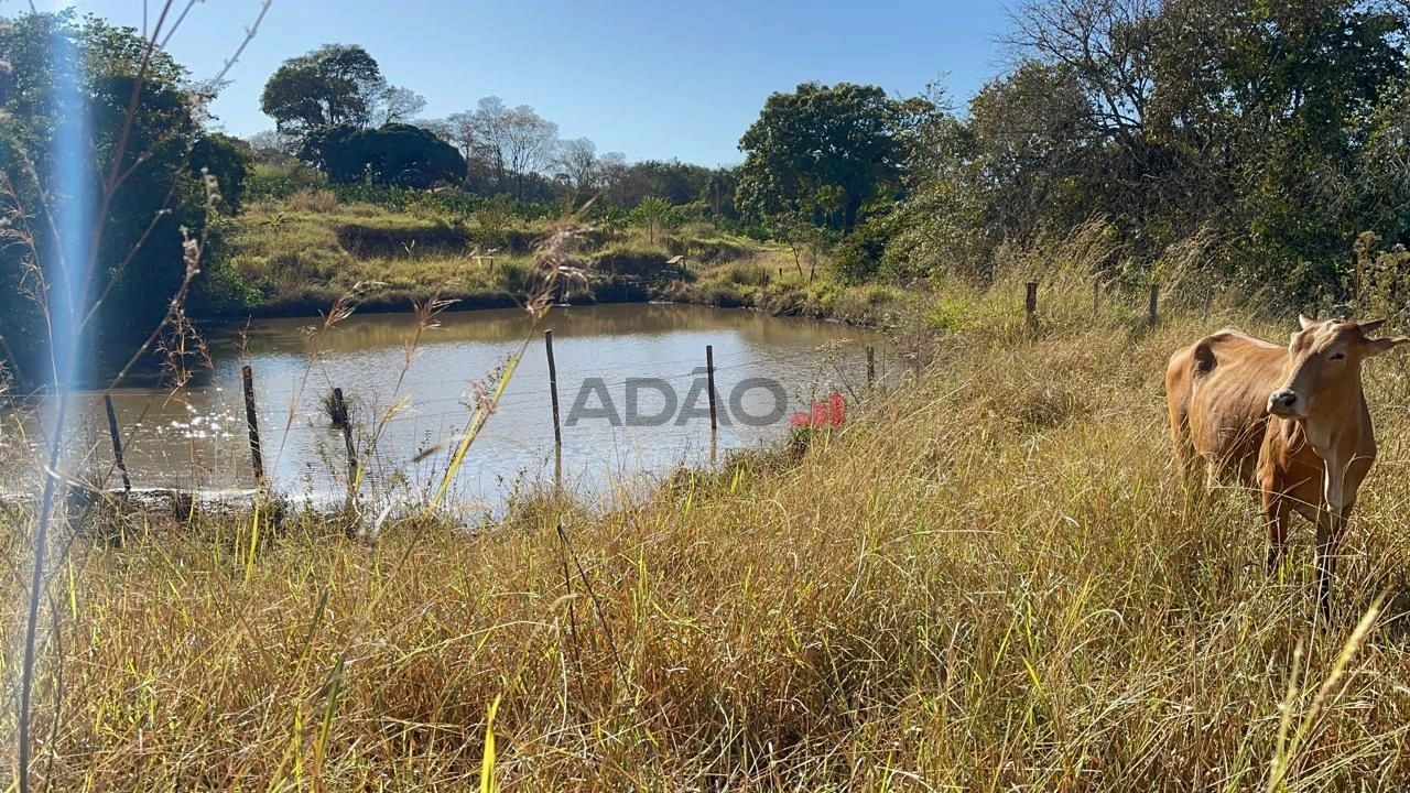 Mídia 4