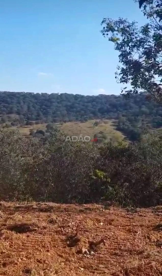 Mídia 5