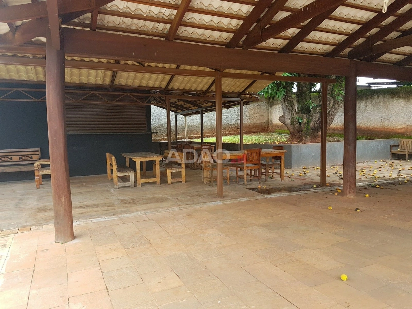 Mídia 5