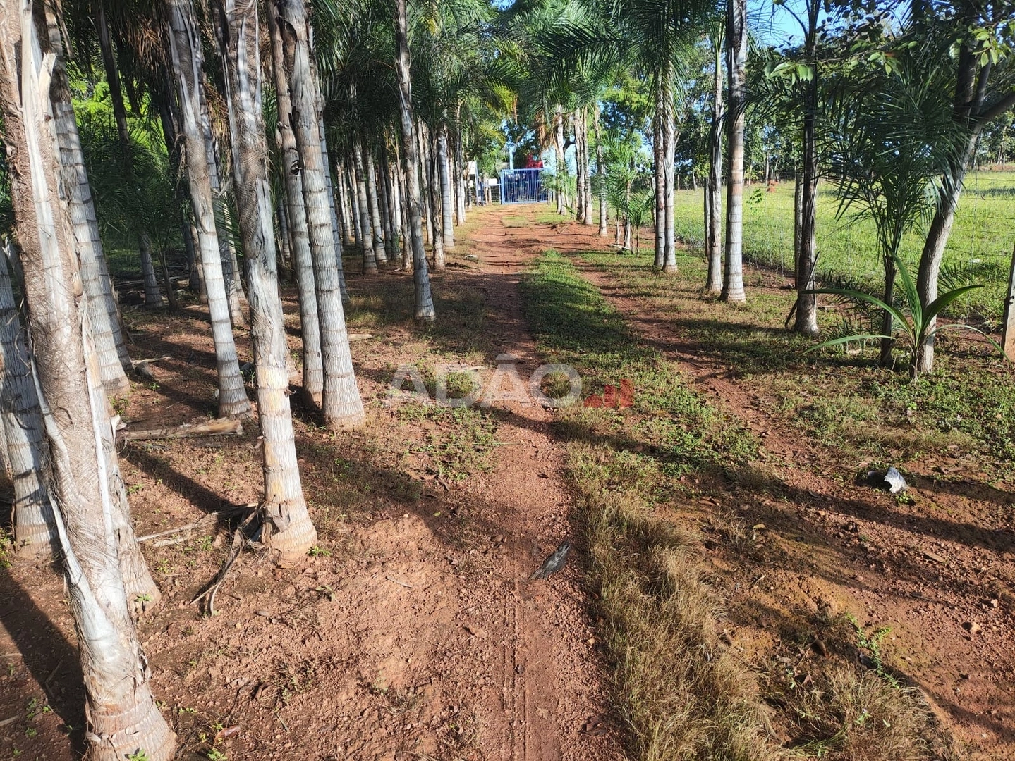 Mídia principal
