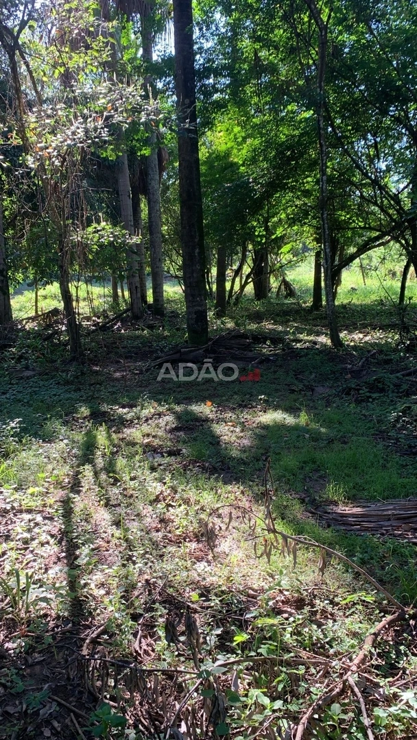 Mídia 2