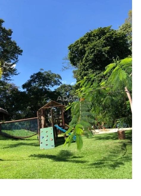 Mídia 5