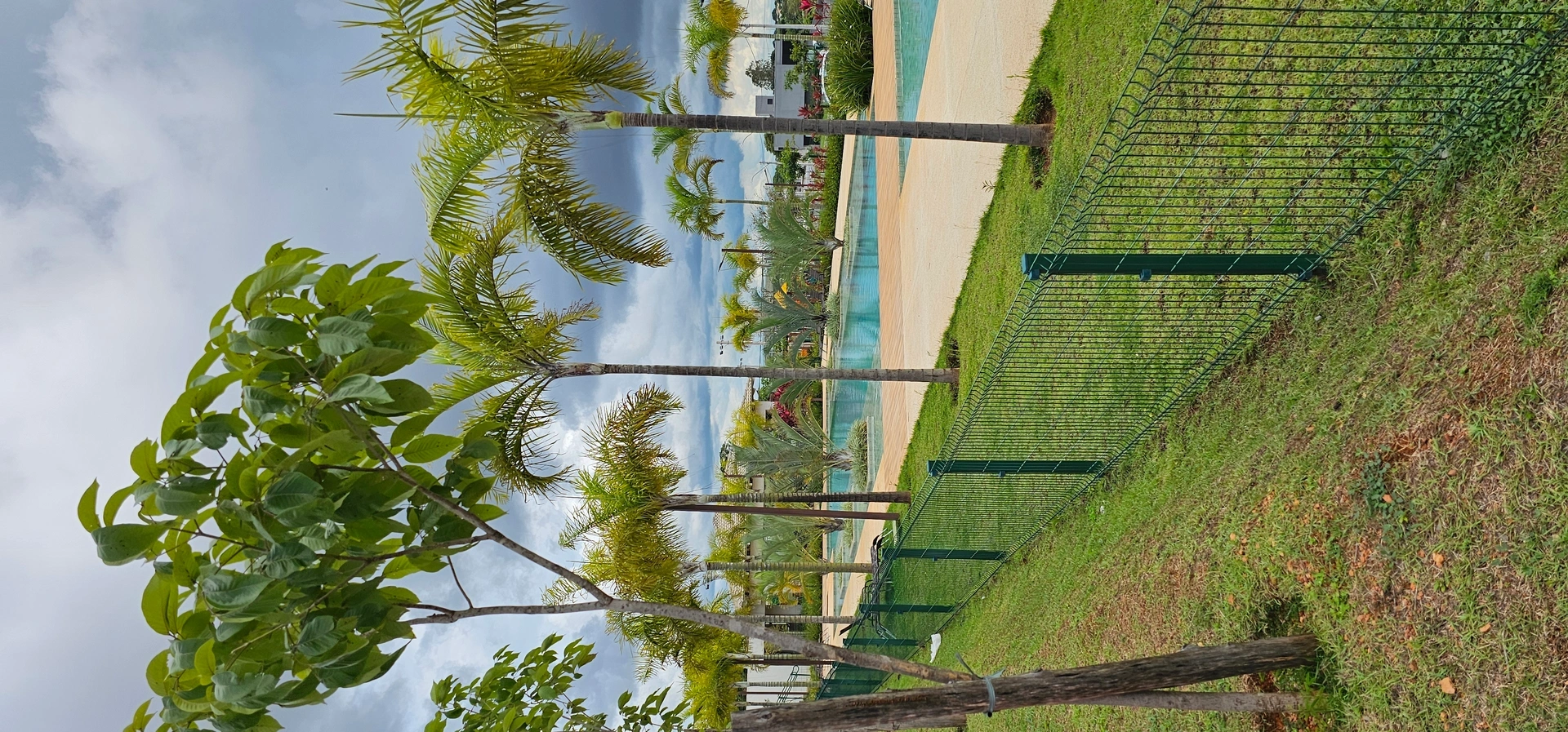 Mídia principal